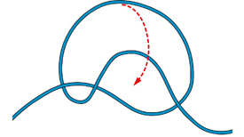 How to Tie One of the Stronger Versions of the Dropper Loop