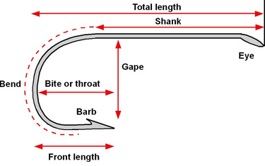 Freshwater Fishing Hook Size Chart